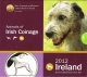 Ireland Euro Coinset Animal motifs on Irish coins - Hound 2012 - © Zafira