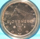 Slovakia 1 Cent Coin 2014 - © eurocollection.co.uk