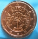 Austria 5 Cent Coin 2007 - © eurocollection.co.uk