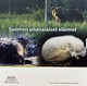 Finland Euro Coinset - Endangered Species 2023 - © Michail