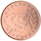 Slovenia 5 Cent Coin 2007 - © European Central Bank